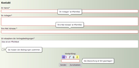 WebSite X5 komplexe Formulare mit Validierung erstellen