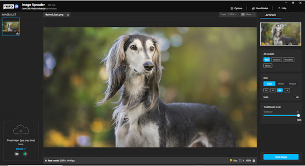 Nero Platinum Suite 2023 AI Image-Upscaler